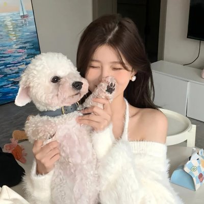 请给我寄粉丝信